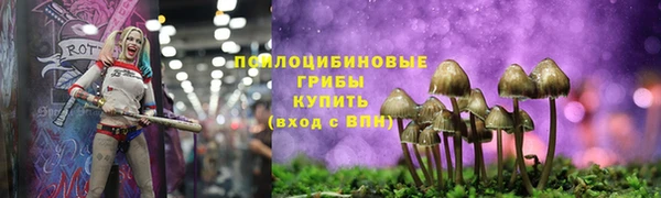 кокс Алексеевка