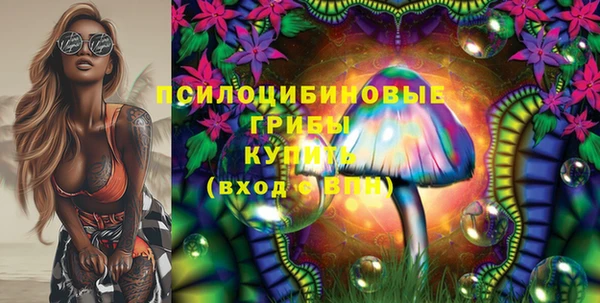 кокс Алексеевка