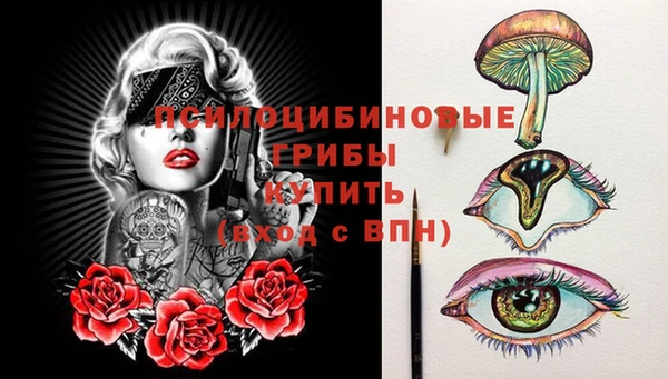 эйфоретик Алексин