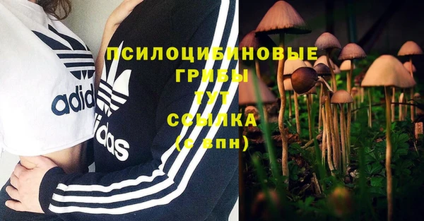 молекула духа Покров