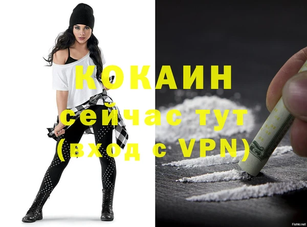 молекула духа Покров