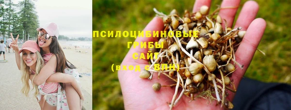 синтетический гашиш Абинск