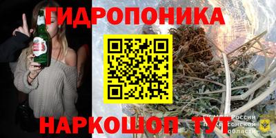мдпв Вязники