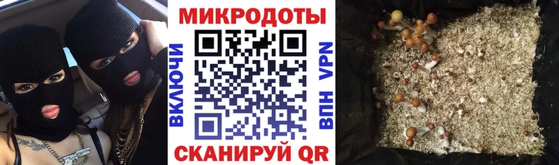 Псилоцибиновые грибы мухоморы blacksprut рабочий сайт Искитим цена наркотик