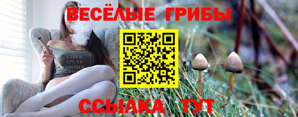 Псилоцибиновые грибы прущие грибы  Вход с VPN  Псилоцибиновые грибы Magic Shrooms  Искитим 
